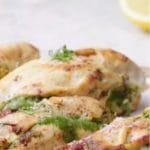 دجاج كابريزة