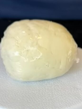 Homemade Mozzarella Cheese