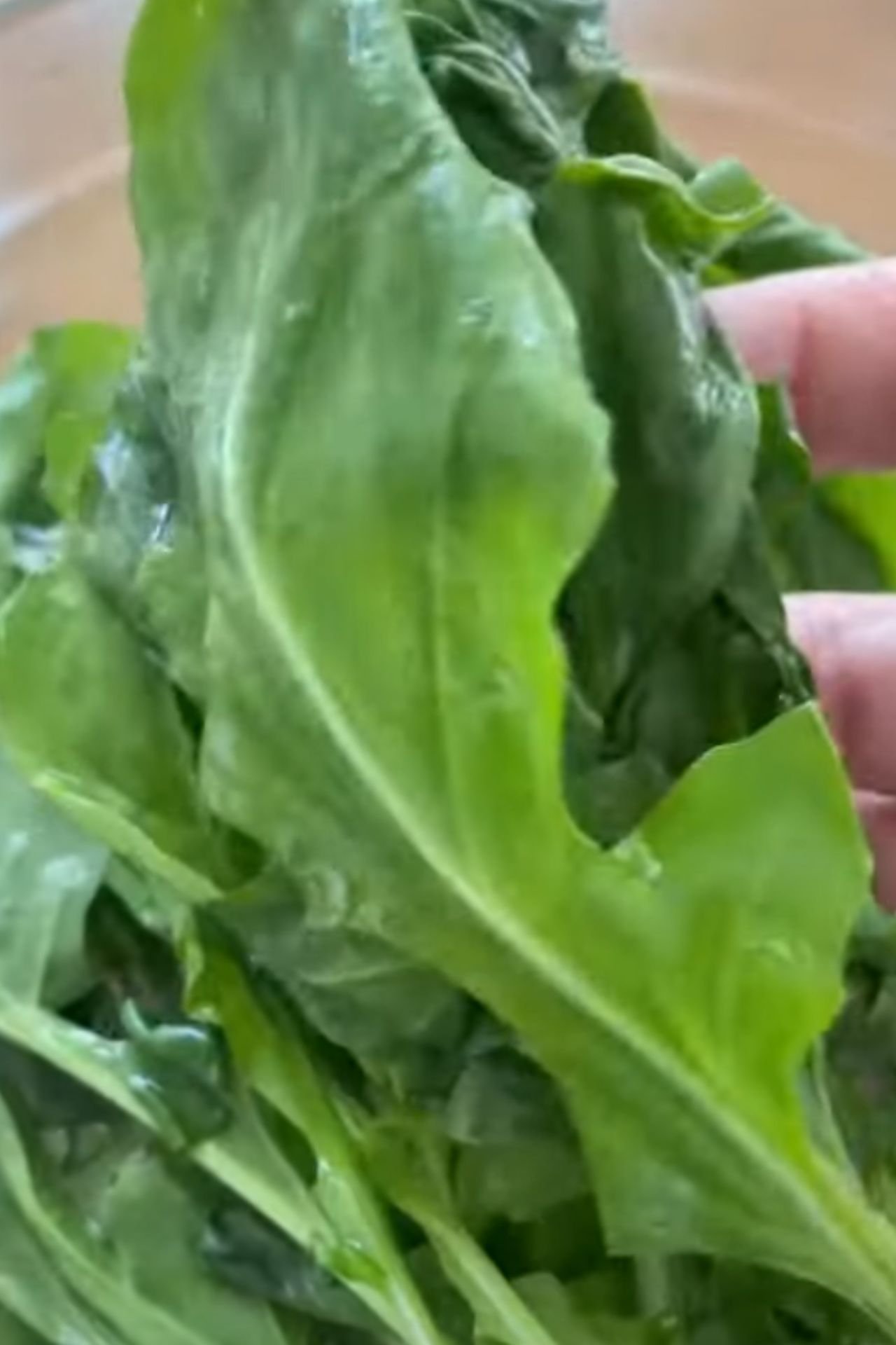 arugula