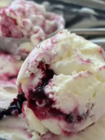 Mixed Berry Frozen Yogurt