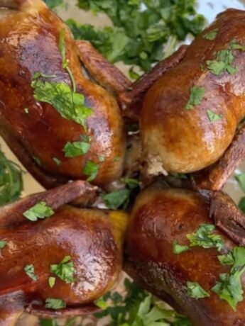 Stuffen Pigeon Hamam Mahshy