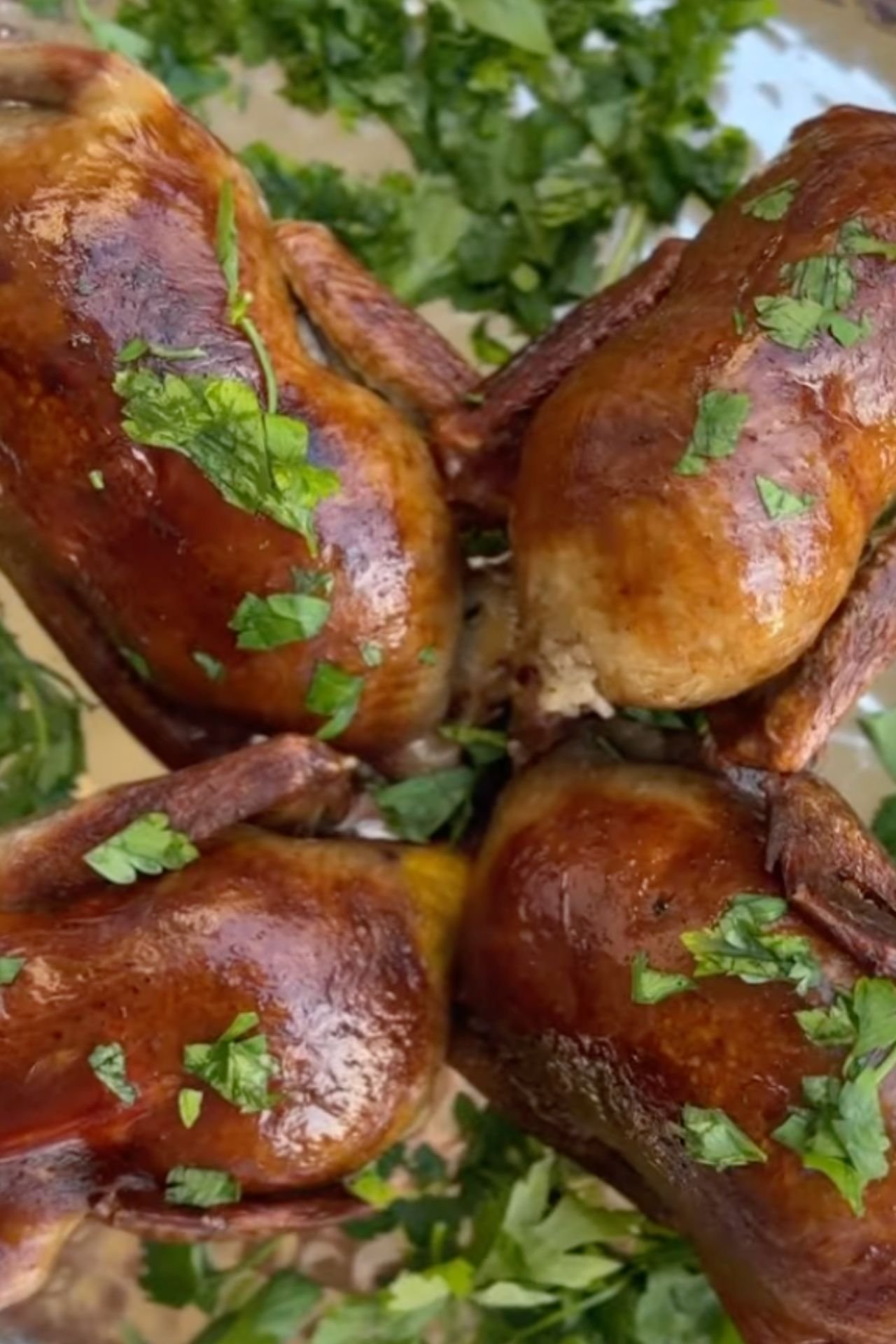 Stuffen Pigeon Hamam Mahshy